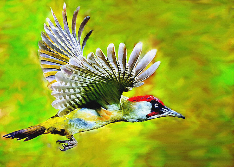 Bird Painting - Gila Woodpecker by Bob and Nadine Johnston