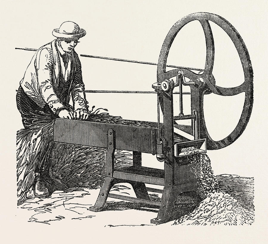 Gilletts Guillotine Chaff Cutter Drawing by English School