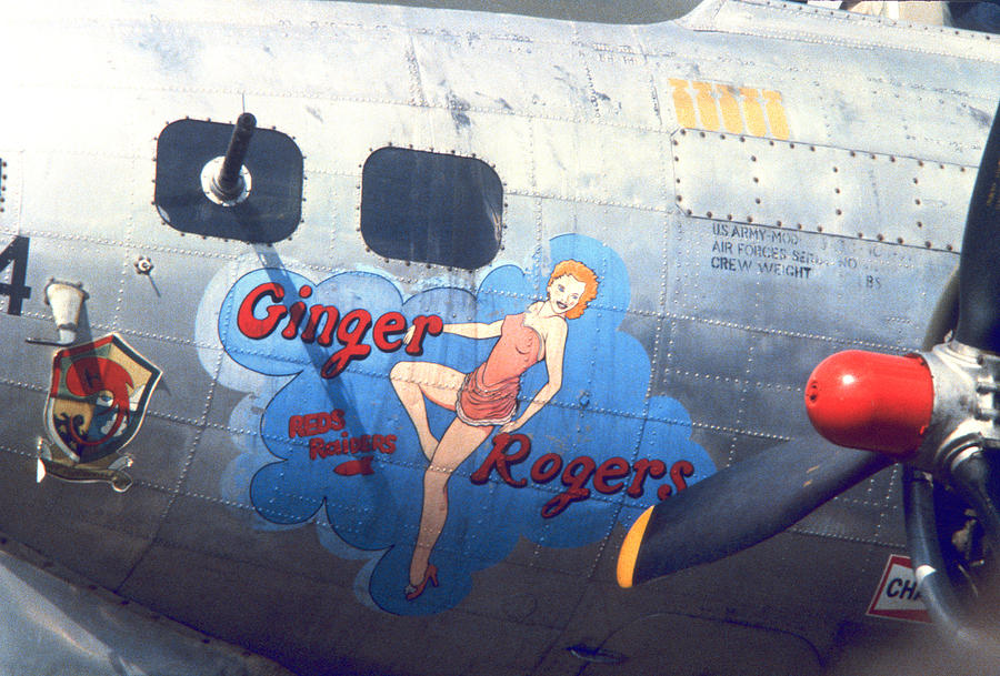 Ginger Bomb Shell Photograph by Gordon James