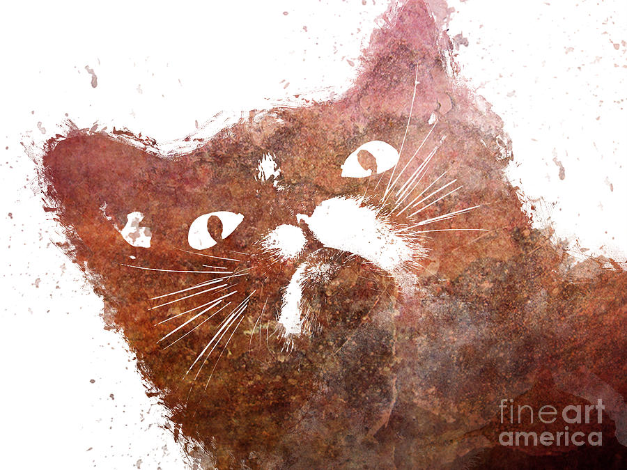 Ginger cat Digital Art by Justyna Jaszke JBJart