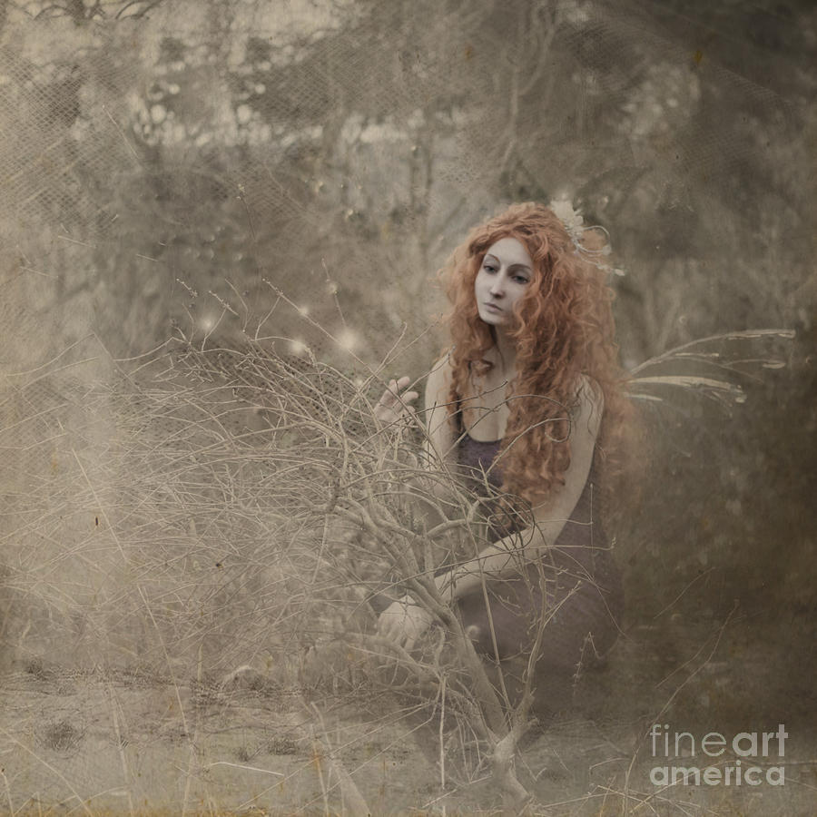 Ginger Haired Fairy Photograph by Ang El