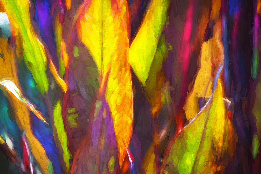 Ginger Leaves Abstract Painted Photograph by Rich Franco