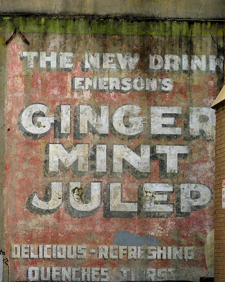Ginger Mint Julep Photograph by Bradford Martin