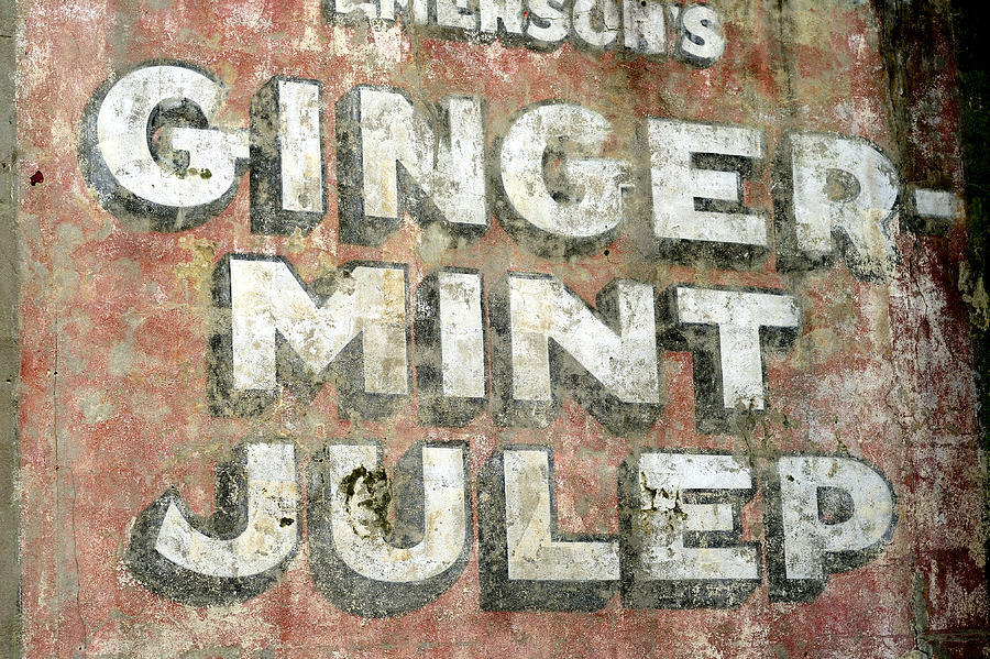 Ginger Mint Julep Sign Photograph by Bradford Martin