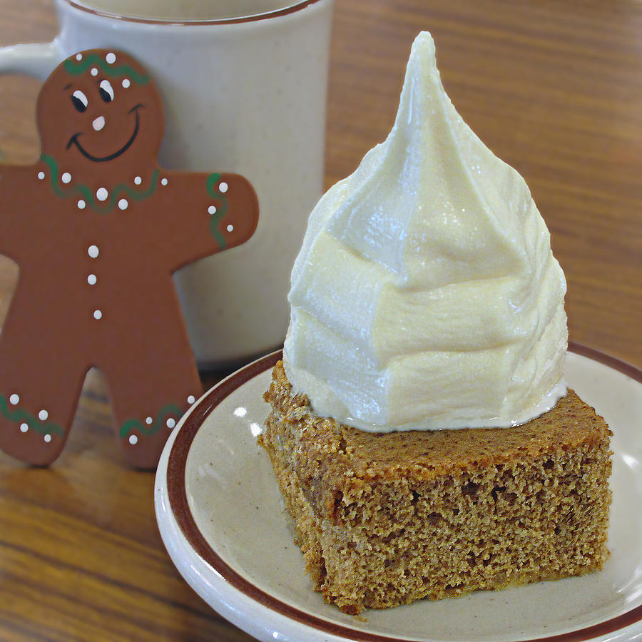 Gingerbread and Ice Cream Photograph by Suzy Piatt