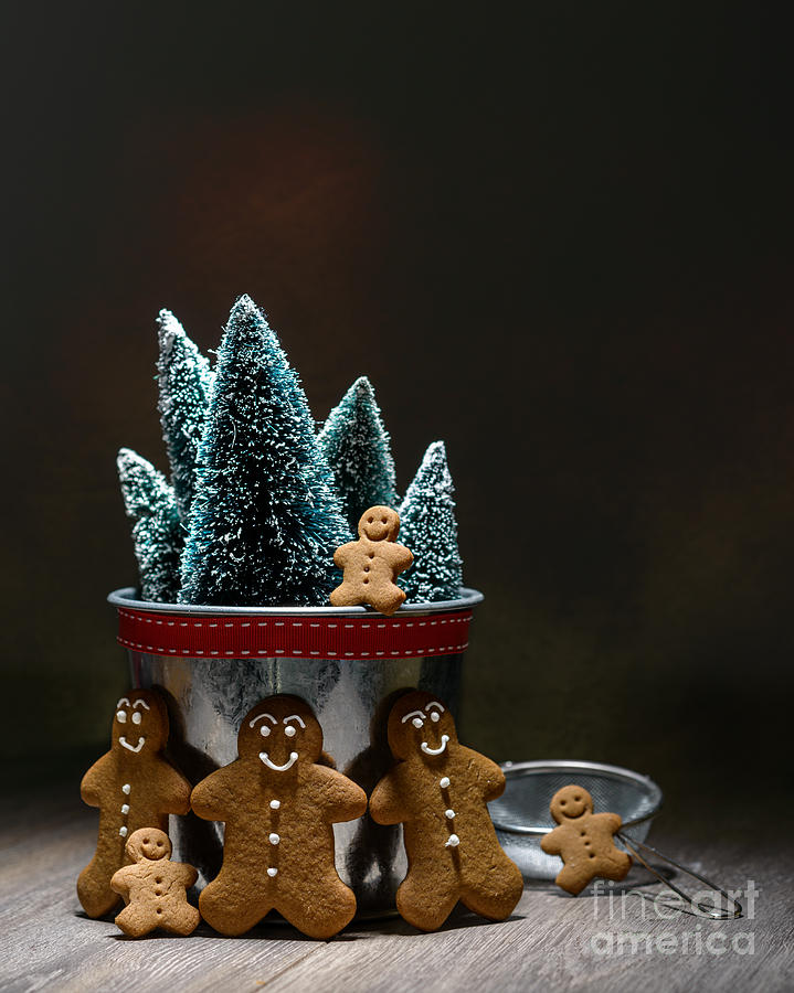 Christmas Photograph - Gingerbread At Christmas by Amanda Elwell