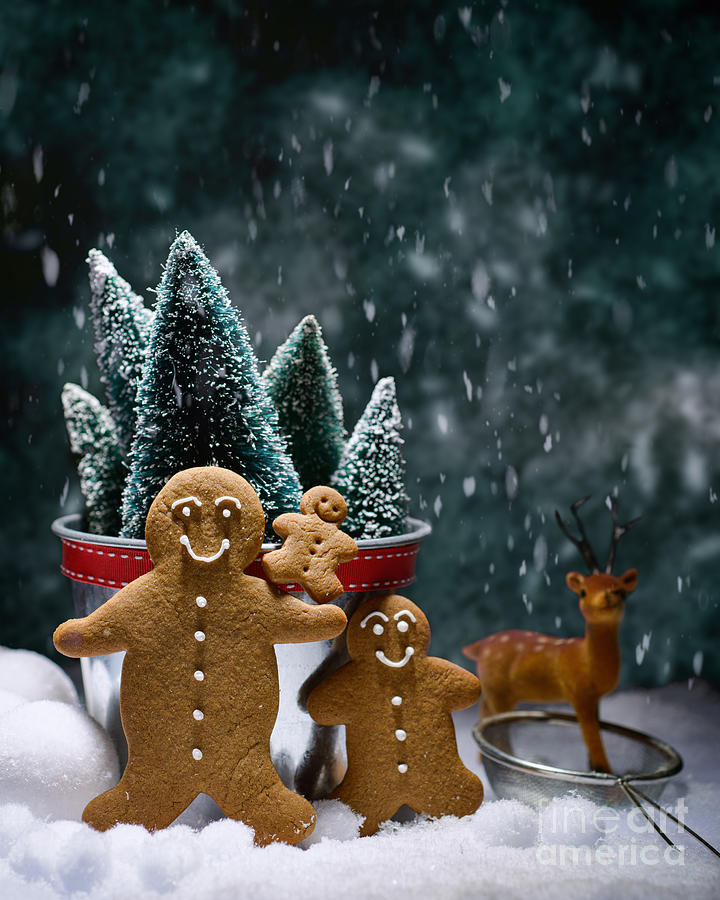 Christmas Photograph - Gingerbread Family In Snow by Amanda Elwell