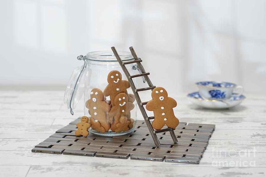 Cookie Photograph - Gingerbread Jar by Amanda Elwell