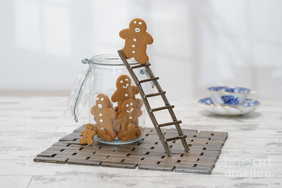 https://images.fineartamerica.com/images-medium-large-5/gingerbread-ladder-amanda-and-christopher-elwell.jpg