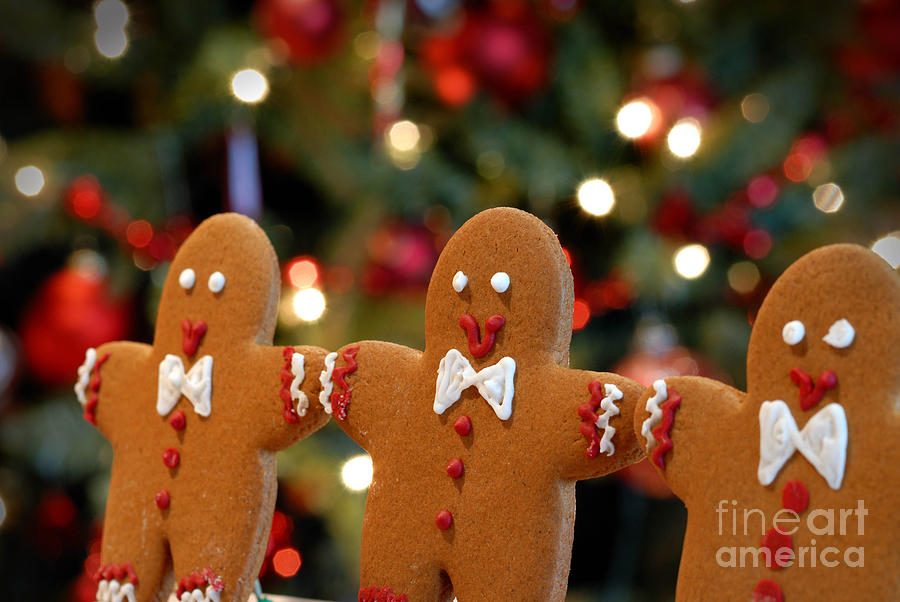 Christmas Photograph - Gingerbread Men in a Line by Amy Cicconi