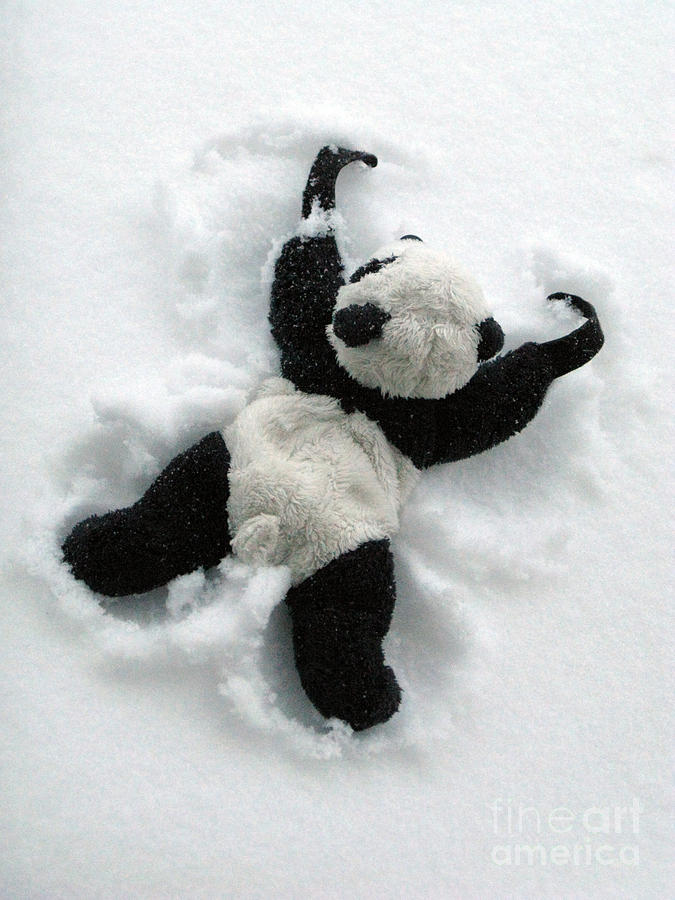 Winter Photograph - Ginny The Baby Panda Making A Snow Angel by Ausra Huntington nee Paulauskaite