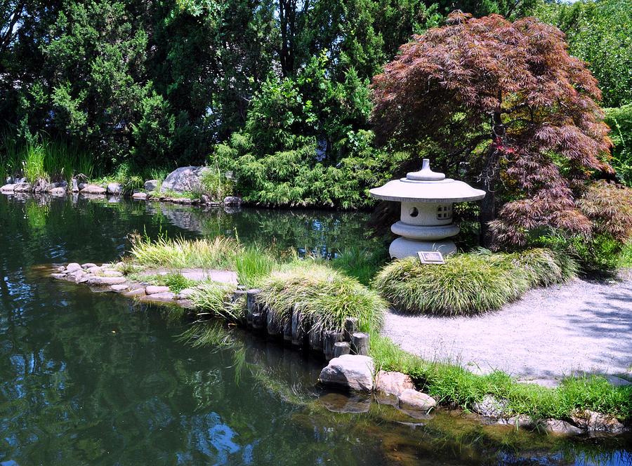 Ginter's Japanese Garden Photograph by Gail Butler - Fine Art America