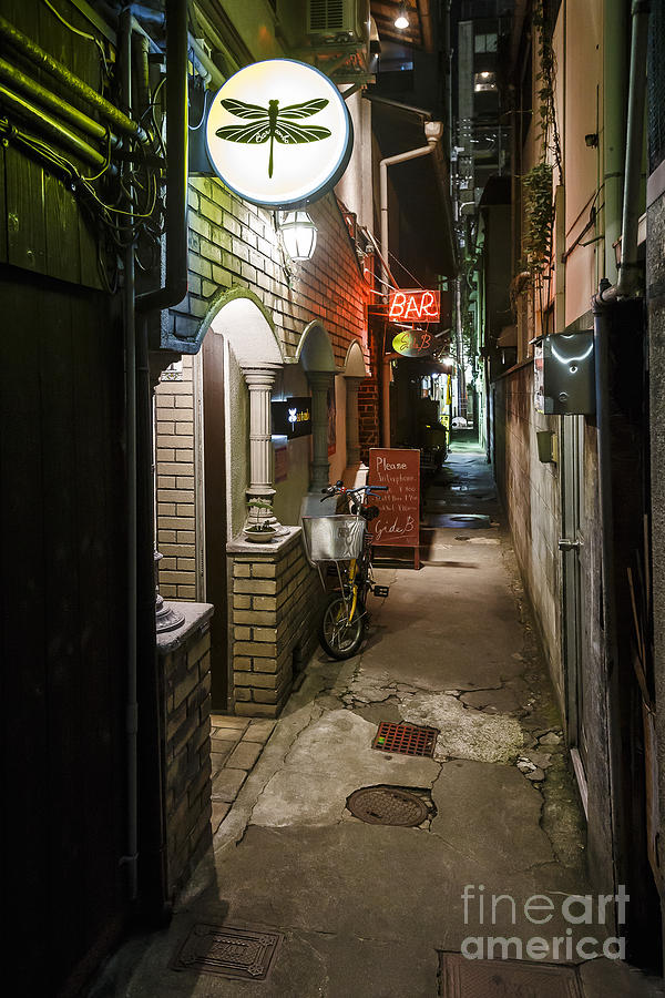 Gion Alley Bar Photograph by Scott Kerrigan