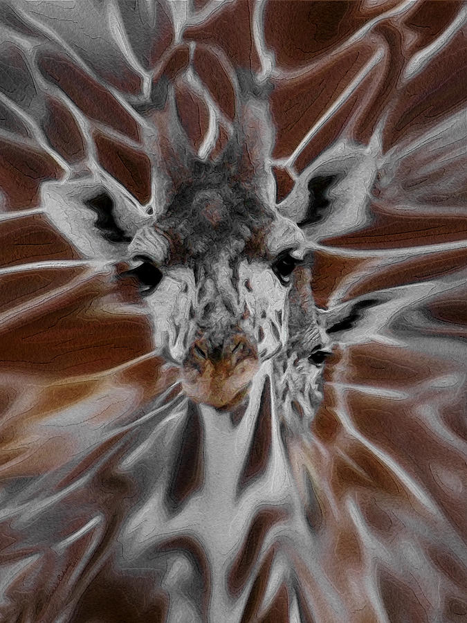 Giraffe Abstract Photograph by Ernest Echols