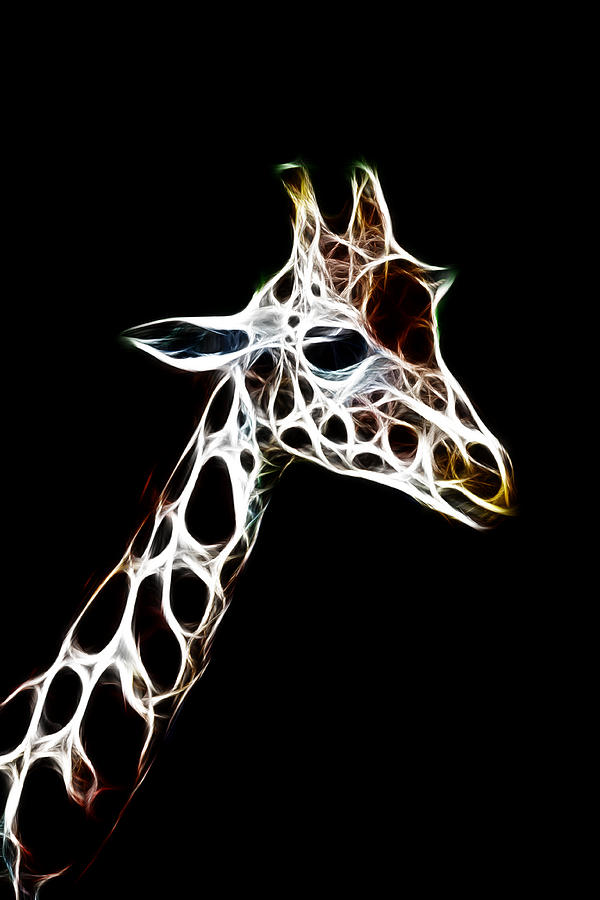Giraffe Art Photograph by Steve McKinzie