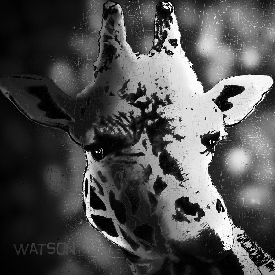 Giraffe Black and White Digital Art by Marlene Watson
