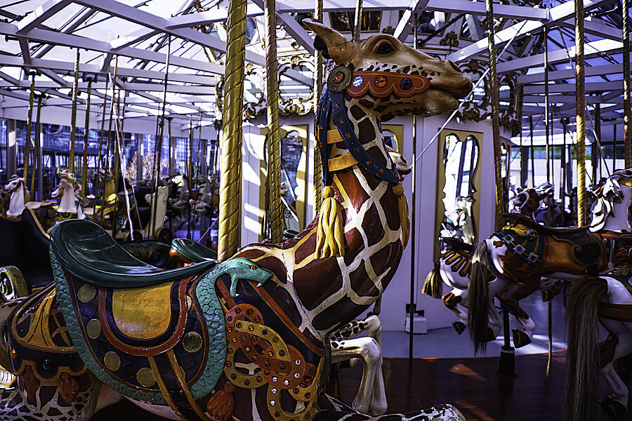 Giraffe Carousel Ride Photograph by Garry Gay
