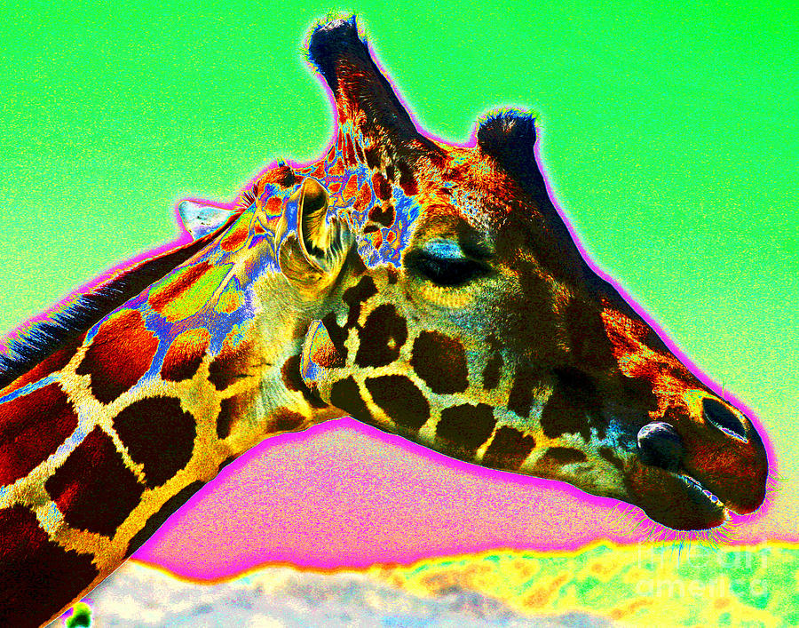 Giraffe Colors Photograph by Larry Oskin
