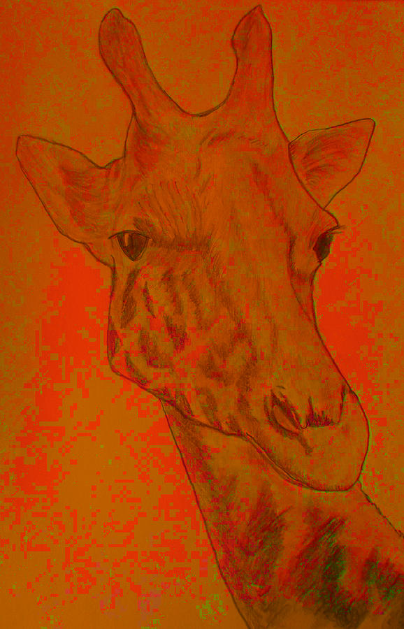 Giraffe. Drawing