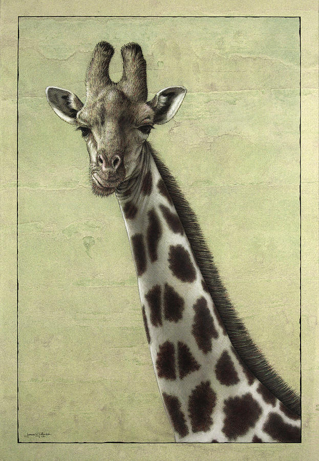 Giraffe Painting - Giraffe by James W Johnson Giraffe Painting - Giraffe by James W Johnson