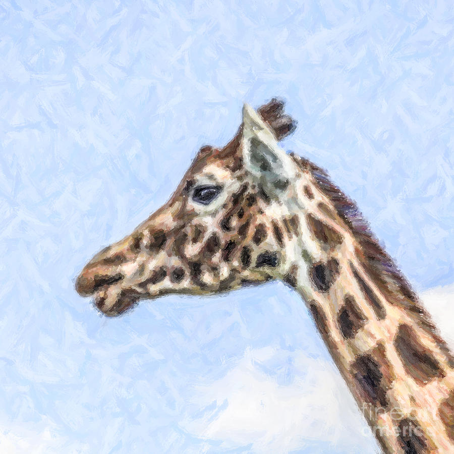 Wildlife Digital Art - Giraffe portrait by Liz Leyden