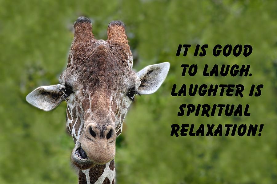 Giraffe quote-1 Photograph by Rudy Umans