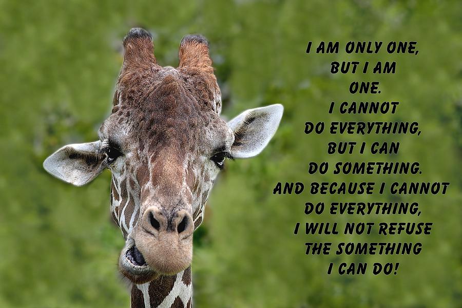 Giraffe quote-3 Photograph by Rudy Umans