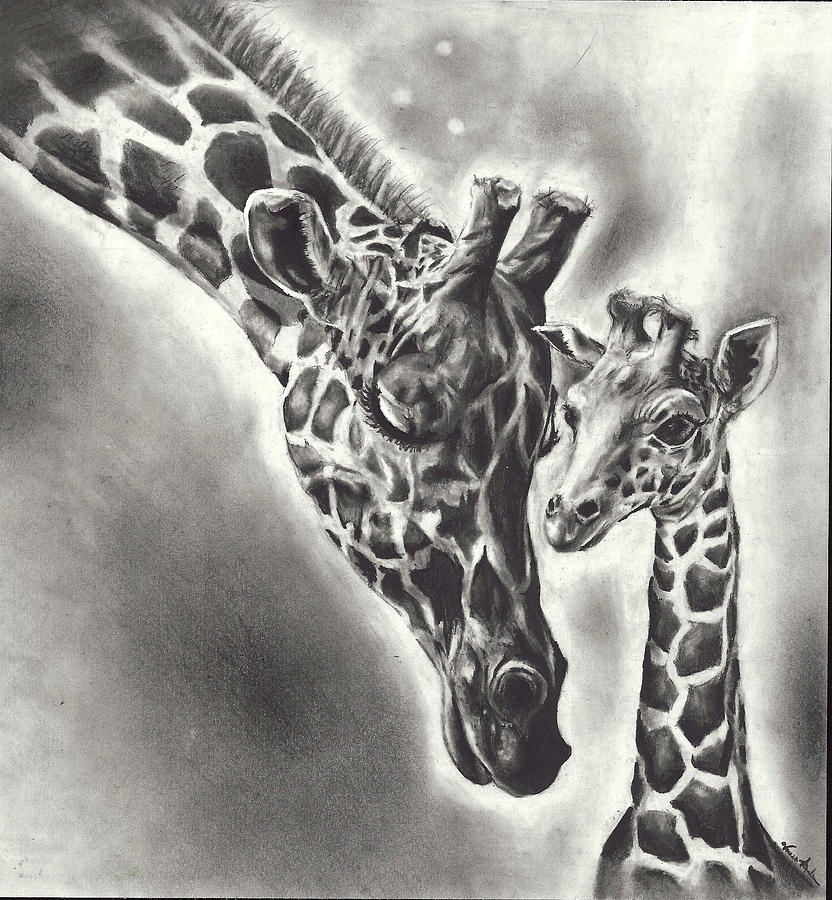 Giraffe Drawing by Vanessa Anderson Fine Art America