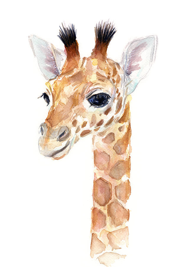 Animal Painting - Giraffe Watercolor by Olga Shvartsur