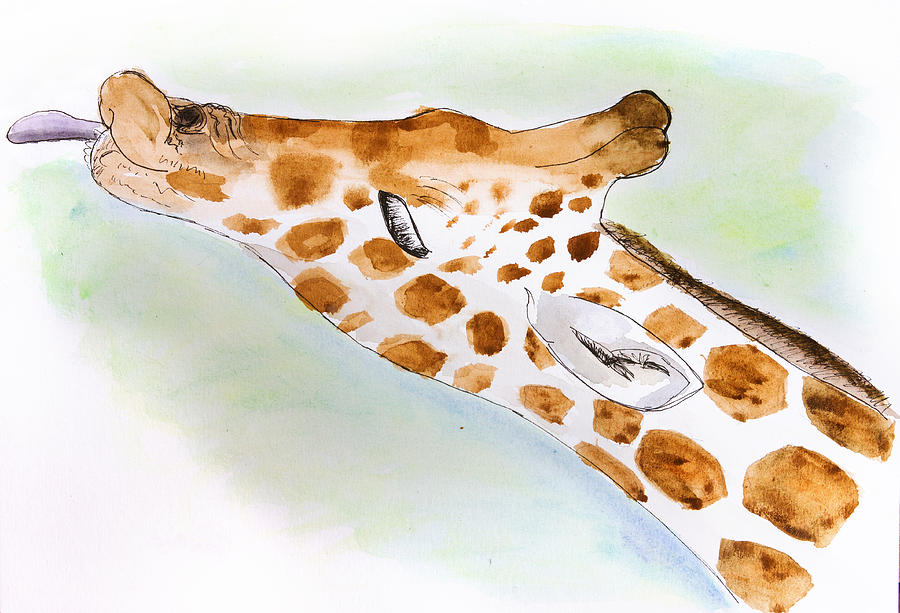 Giraffe Painting - Giraffe With Tongue Out by Pati Photography