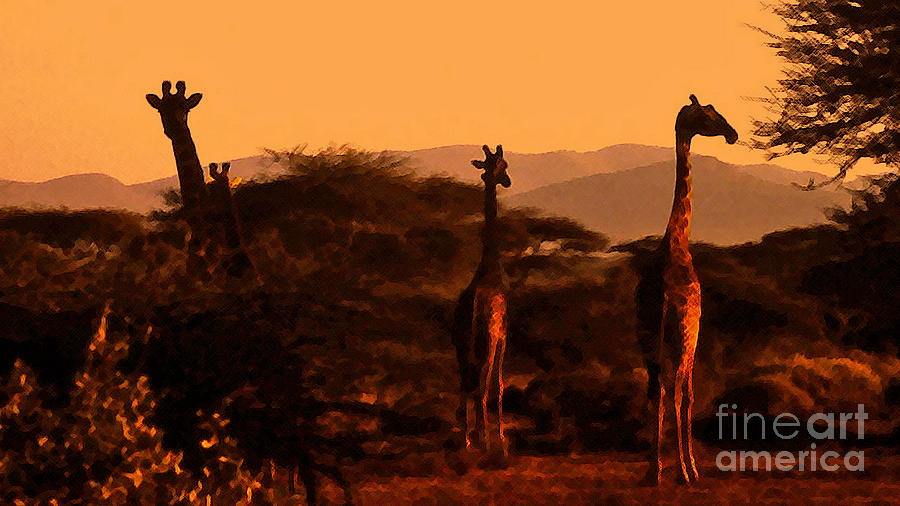 Giraffes at Sundown Photograph by Lydia Holly