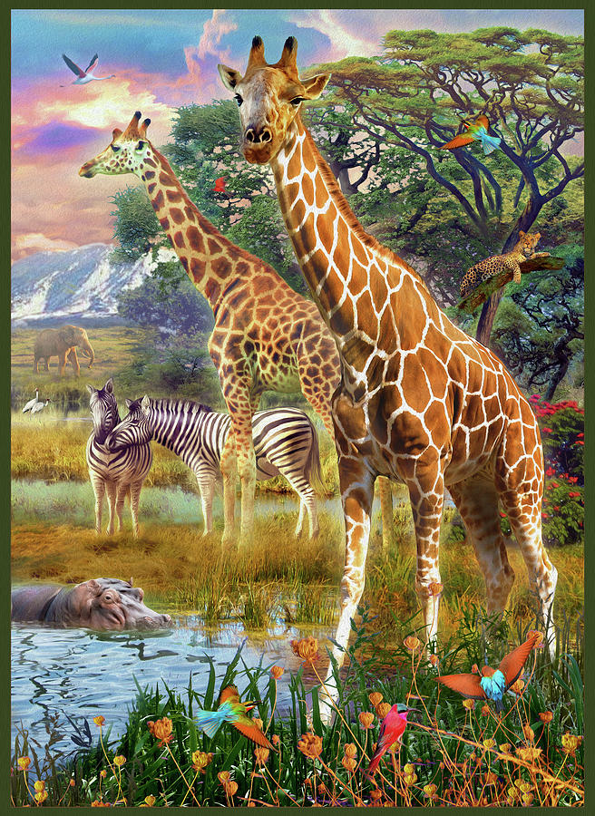 Giraffes Drawing by MGL Meiklejohn Graphics Licensing