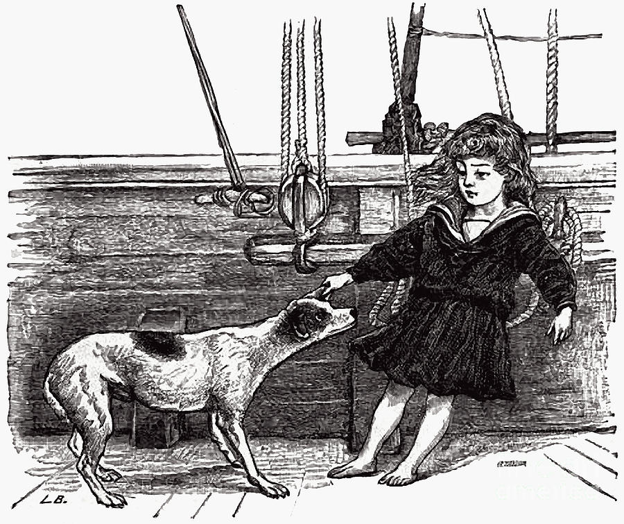 Girl and Her Dog 1889 Book Illustration Photograph by Phil Cardamone