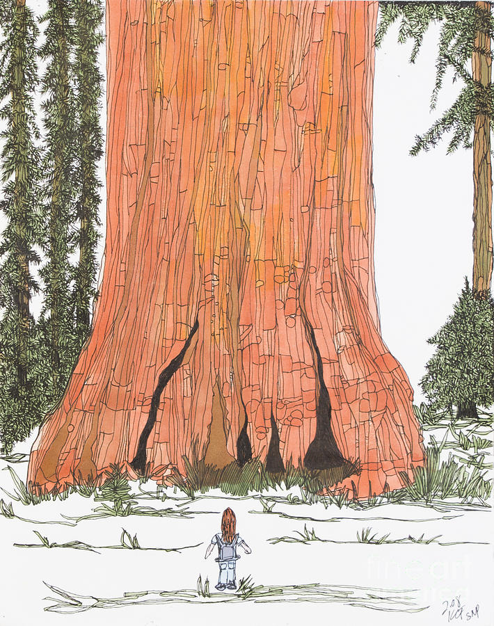 Girl and Sequoia Drawing by Kristi Chapman Pixels