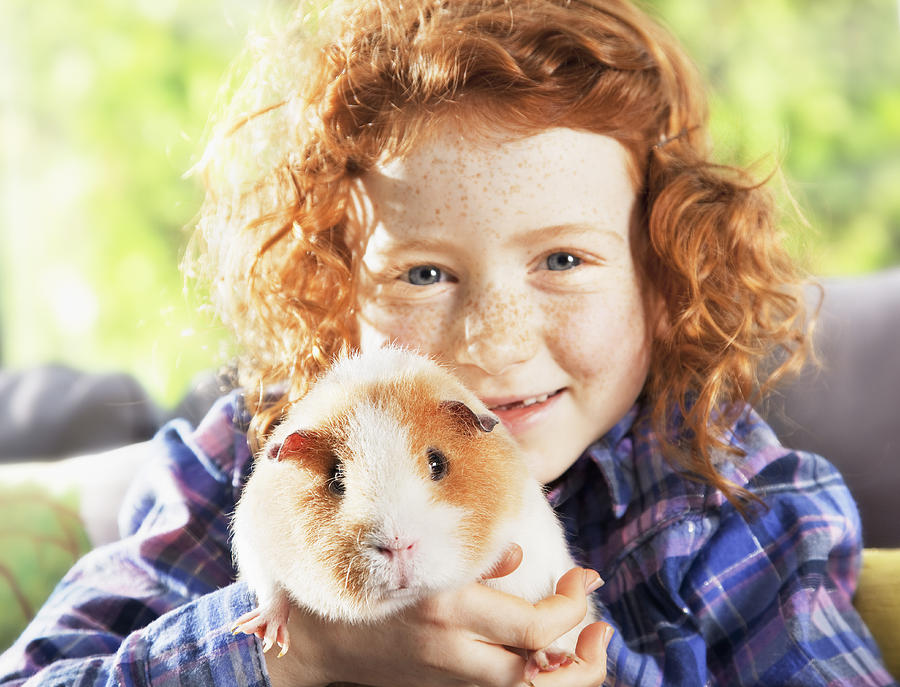 Girl holding pet hamster in living room Photograph by Anthony Lee