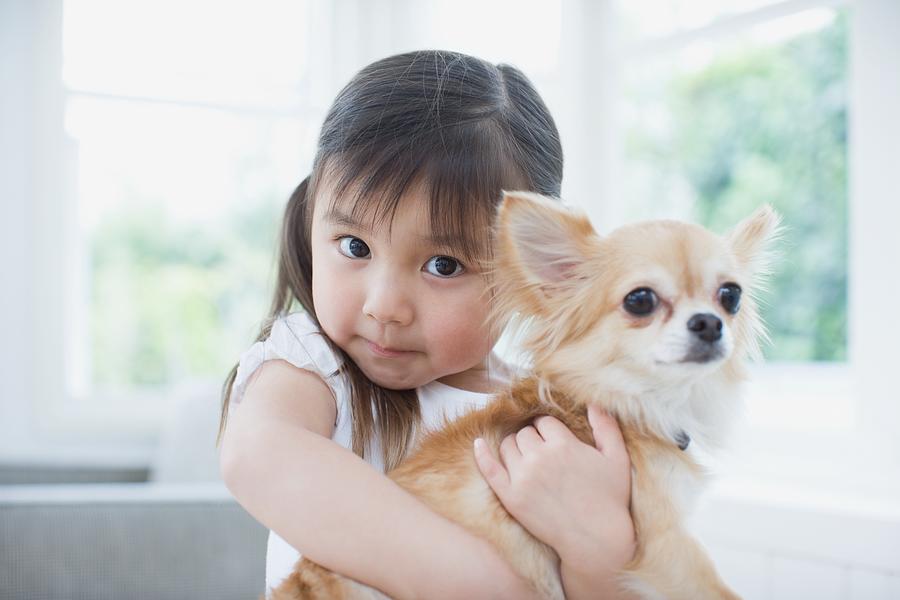 Girl hugging a chihuahua Photograph by Image Source