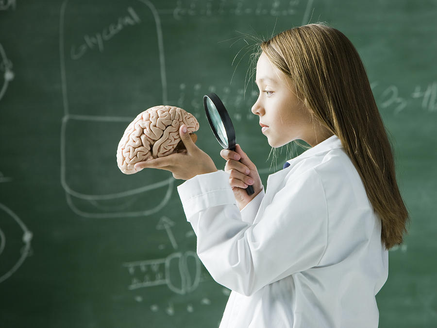 Girl In A Classroom Standing In Front Of A Chalkboard Looking At A Brain With A Magnifying Glass Photograph by RubberBall Productions