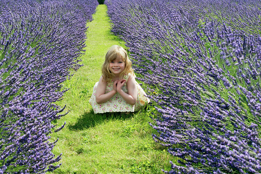 Summer Photograph - Girl In A Lavender Field by Anthony Cooper/science Photo Library