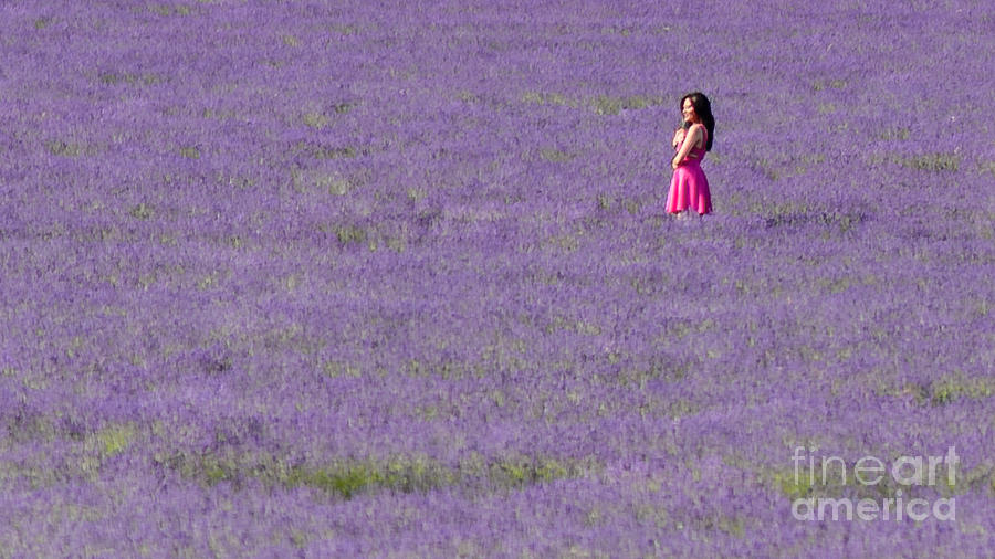 Girl in a Lavender Field Photograph by Matt Malloy
