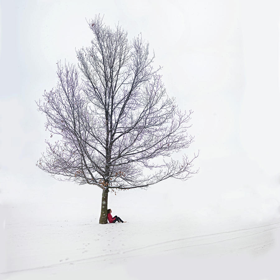 Girl Leaning Against A Tree In The Snow Photograph by Emily Dozois