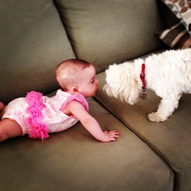 Girl Meets Puppy. Girl Loves Puppy Photograph by Lauren Mccullough