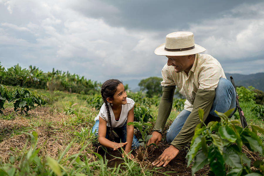 Girl planting a tree with her father at the farm Photograph by Andresr