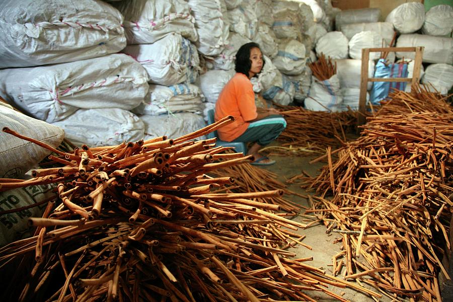 Girl Sitting By Stack Of Cinnamon Sticks Photograph by Bjorn Svensson/science Photo Library