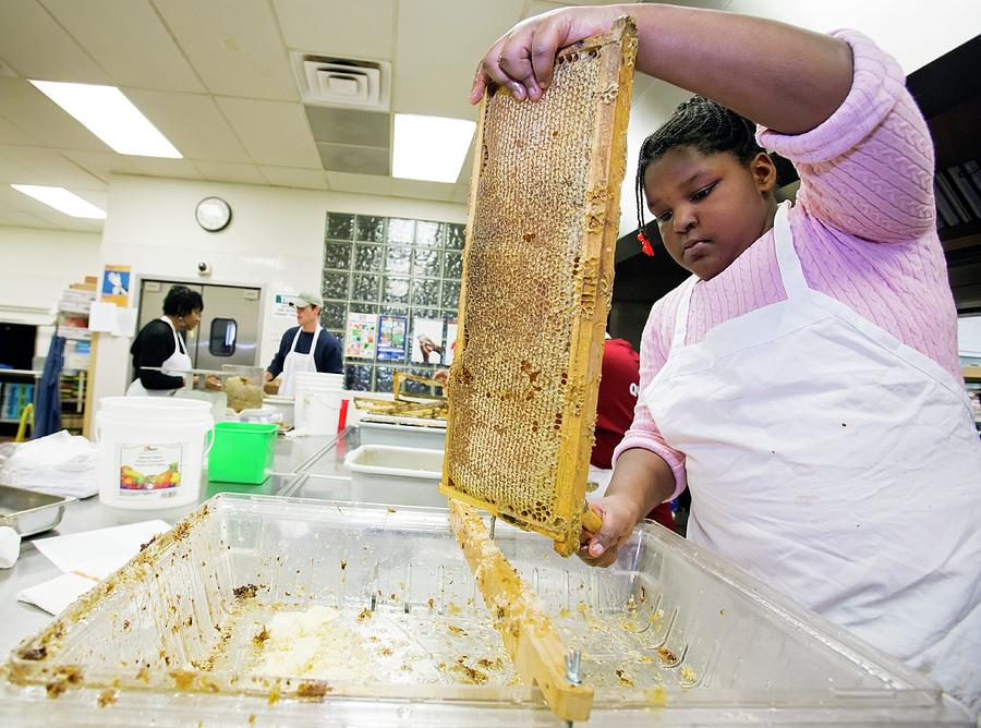 Detroit Photograph - Girl Uncapping Honeycomb by Jim West