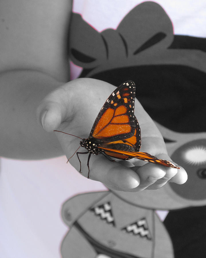 Girl with Butterfly Digital Art by John Vincent Palozzi