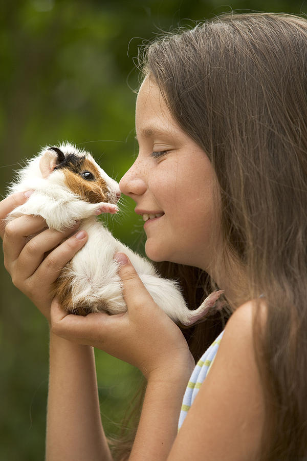 Girl With Guinea Pig Photograph by Jean-Michel Labat