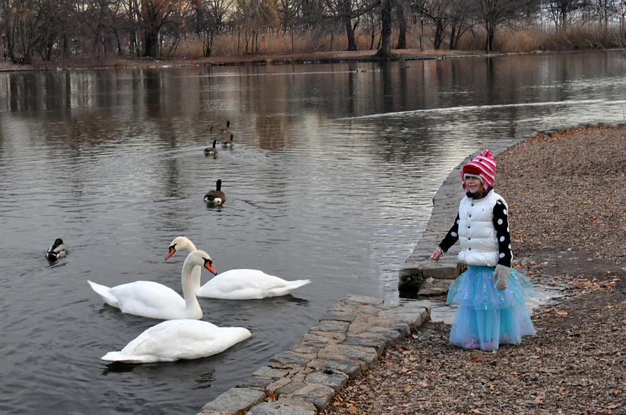 Girl with swans in Prospect Park Brooklyn Photograph by Diane Lent