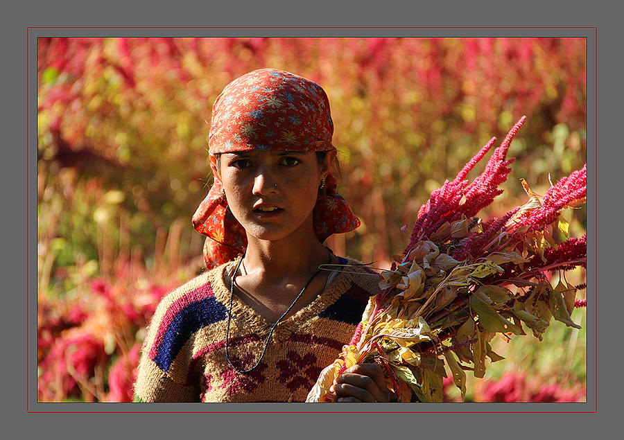 Portrait Photograph - Girld in field by Santosh Jaiswal