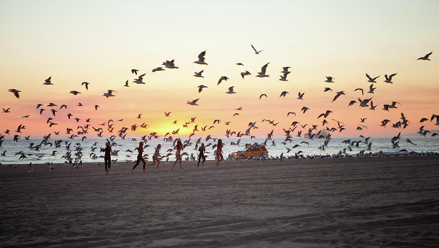 Girls Chasing Seagulls On Beach At Photograph by Julie Daniels Photography