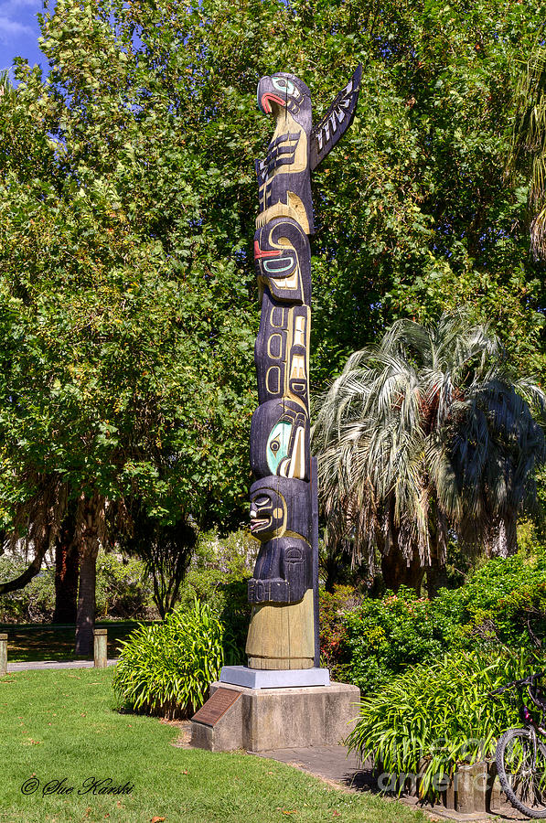 Gisborne Totem Pole Photograph by Sue Karski